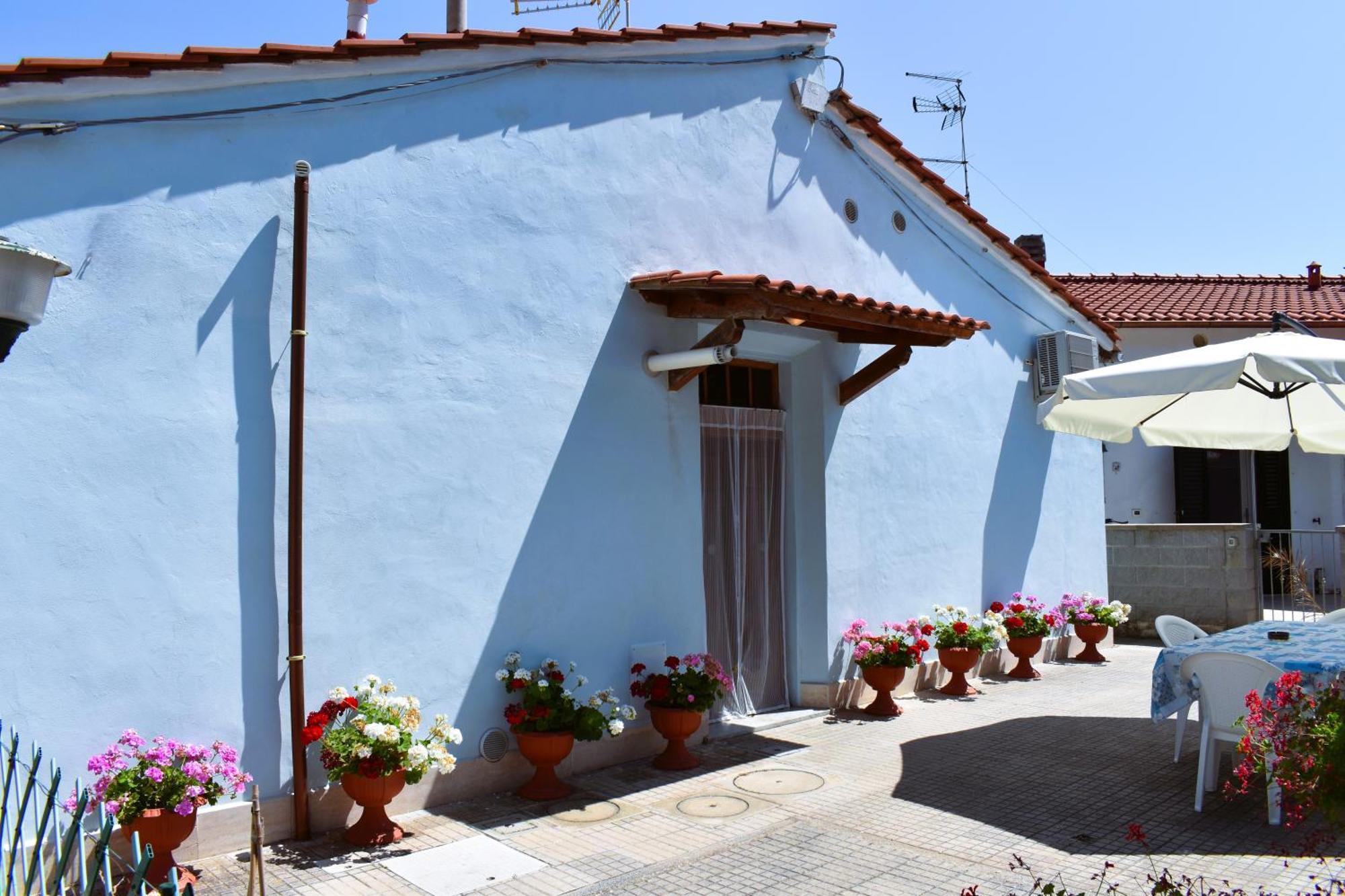 Villa Villino La Perla Azzurra- Marina Di Pisa Exterior foto